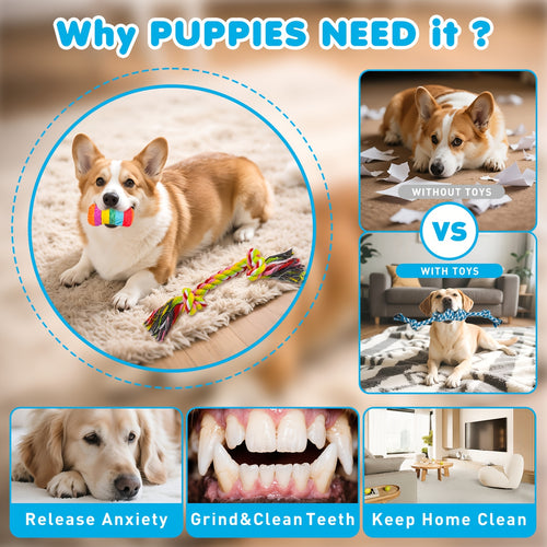 25-Pack Puppy Toy Set for Small Dogs – Teething Chew Toys with Squeaky Toys, Rope Toys & Ball, Luxury Variety Bundle for Small Breed Puppies, No Battery Required