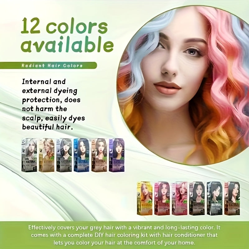 12-Color Permanent Hair Dye Kit with Developer & Applicator Tools – Long-Lasting Vibrant Shades Including Pink, Blue, Purple, Red, Black, Brown, Golden & More for Home Hair Colouring