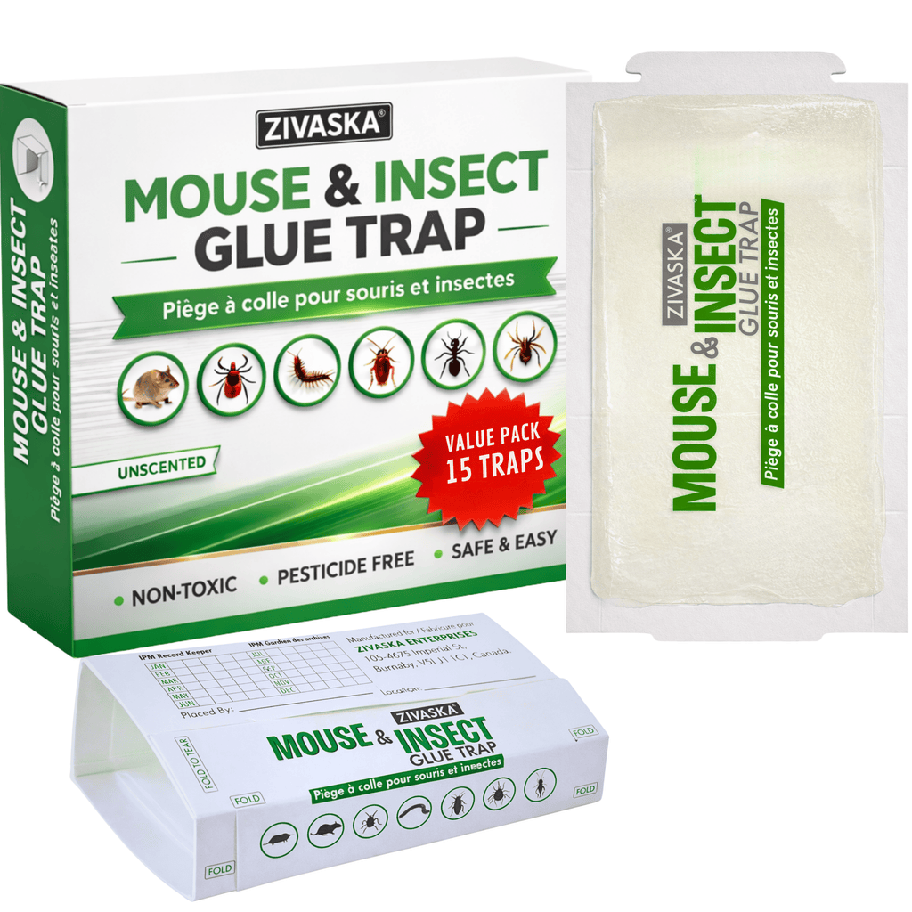 15 / 50 / 100 Mice Traps | Sticky Traps| Mouse Traps | Mouse Sticky Traps | Insect Traps| Foldable Adhesive Capture Boards for Indoor Monitoring | Unscented | No Chemicals | Flat or Tunnel Use