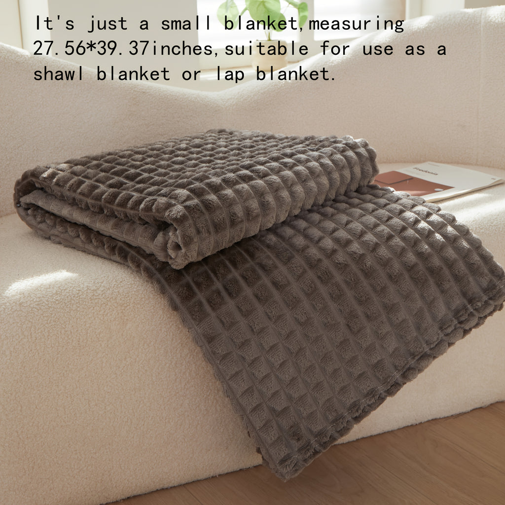 Soft Warm Throw Blanket All-Season Plush Sofa Blanket for Naps Office Camping Pet-Friendly Bedspread Multiple Sizes and Colors