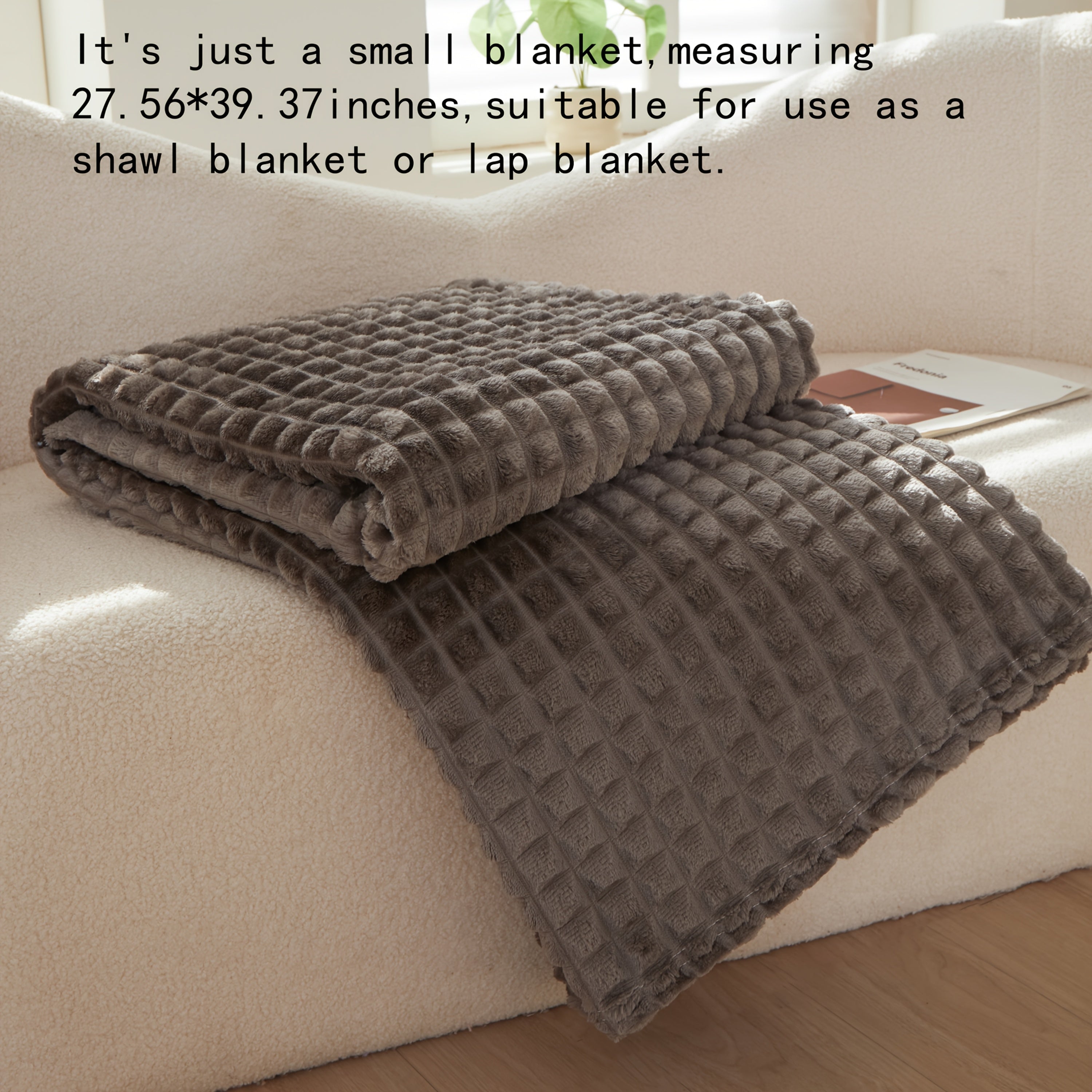 Soft Warm Throw Blanket All-Season Plush Sofa Blanket for Naps Office Camping Pet-Friendly Bedspread Multiple Sizes and Colors