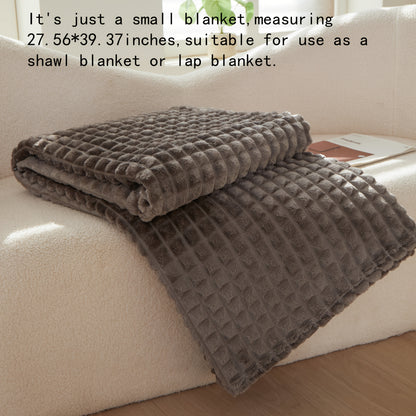 Soft Warm Throw Blanket All-Season Plush Sofa Blanket for Naps Office Camping Pet-Friendly Bedspread Multiple Sizes and Colors