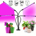 1/2/3/4pcs 1pc-2Pack 2pcs-2Pack LED Grow Light, Full Spectrum Plant Lamp, 360° Gooseneck, USB Powered Red Blue Light, Indoor Plants, Seedlings, Flowers, Greenhouse, No Charger