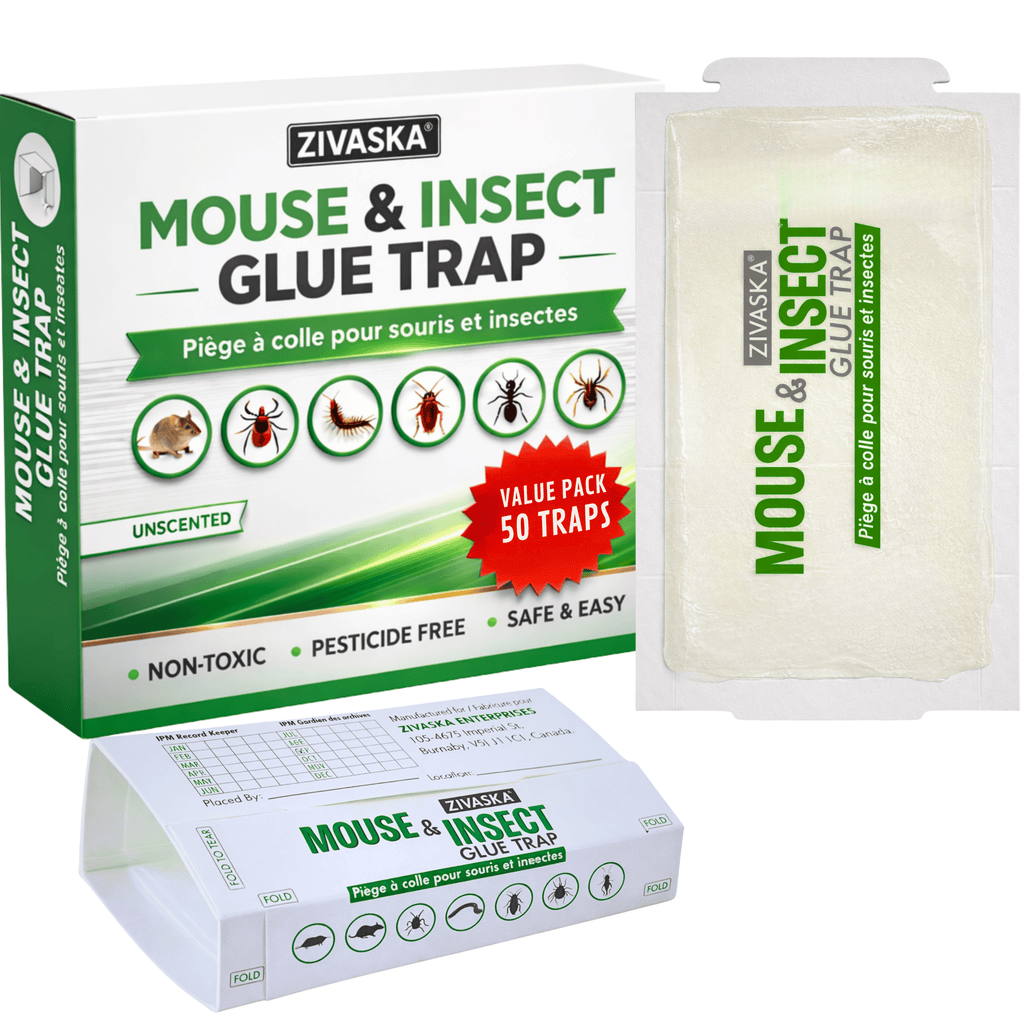 15 / 50 / 100 Mice Traps | Sticky Traps| Mouse Traps | Mouse Sticky Traps | Insect Traps| Foldable Adhesive Capture Boards for Indoor Monitoring | Unscented | No Chemicals | Flat or Tunnel Use