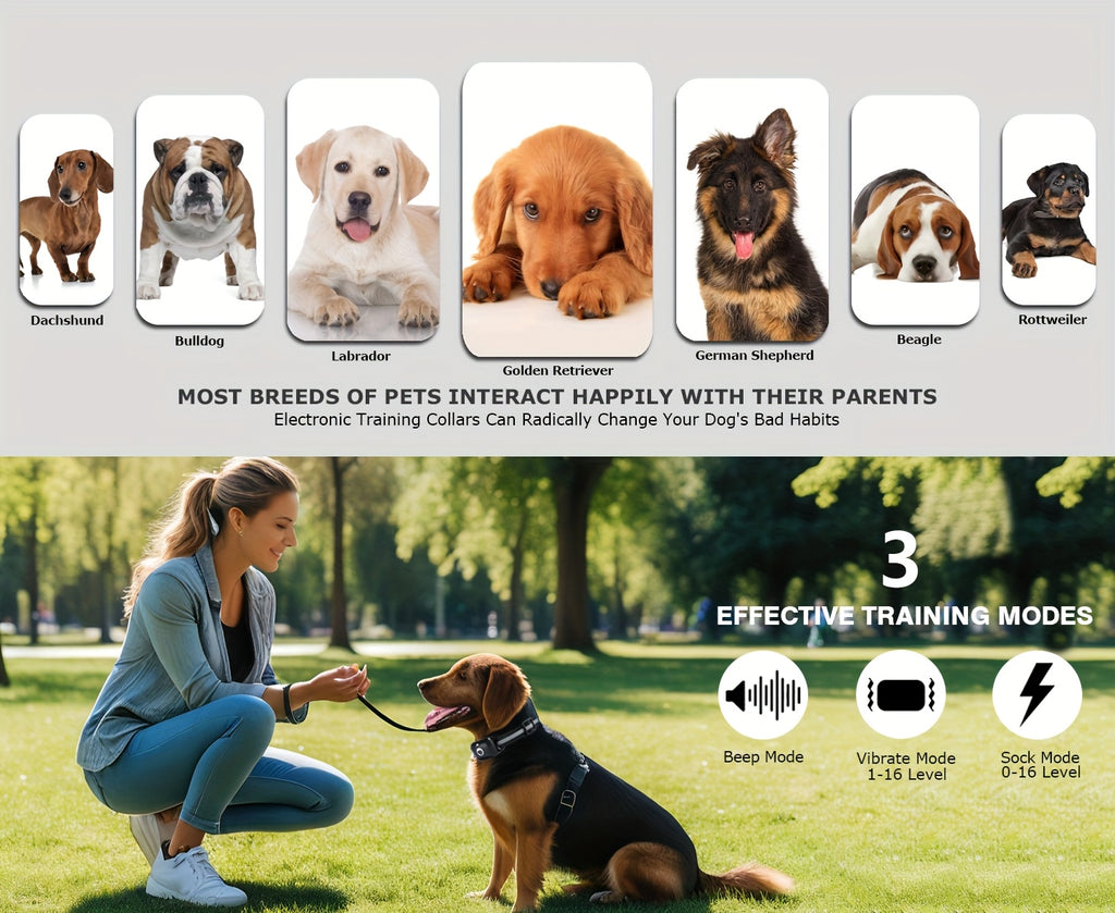 Remote Dog Training Collar with Electric Shock, Vibration & Bark Alarm Suitable for Large/Medium Dogs, Shockproof Collar with Receiver, Training Icons & Modes for Obedience, Tracking, Behavior