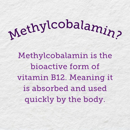 Webber Naturals Vitamin B12 2-Pack – 1000 mcg Methylcobalamin Bioactive Form, 150 Quick-Dissolve Tablets per Bottle, Supports Energy Metabolism, Red Blood Cell Formation & Immune Function | ShopVora CA