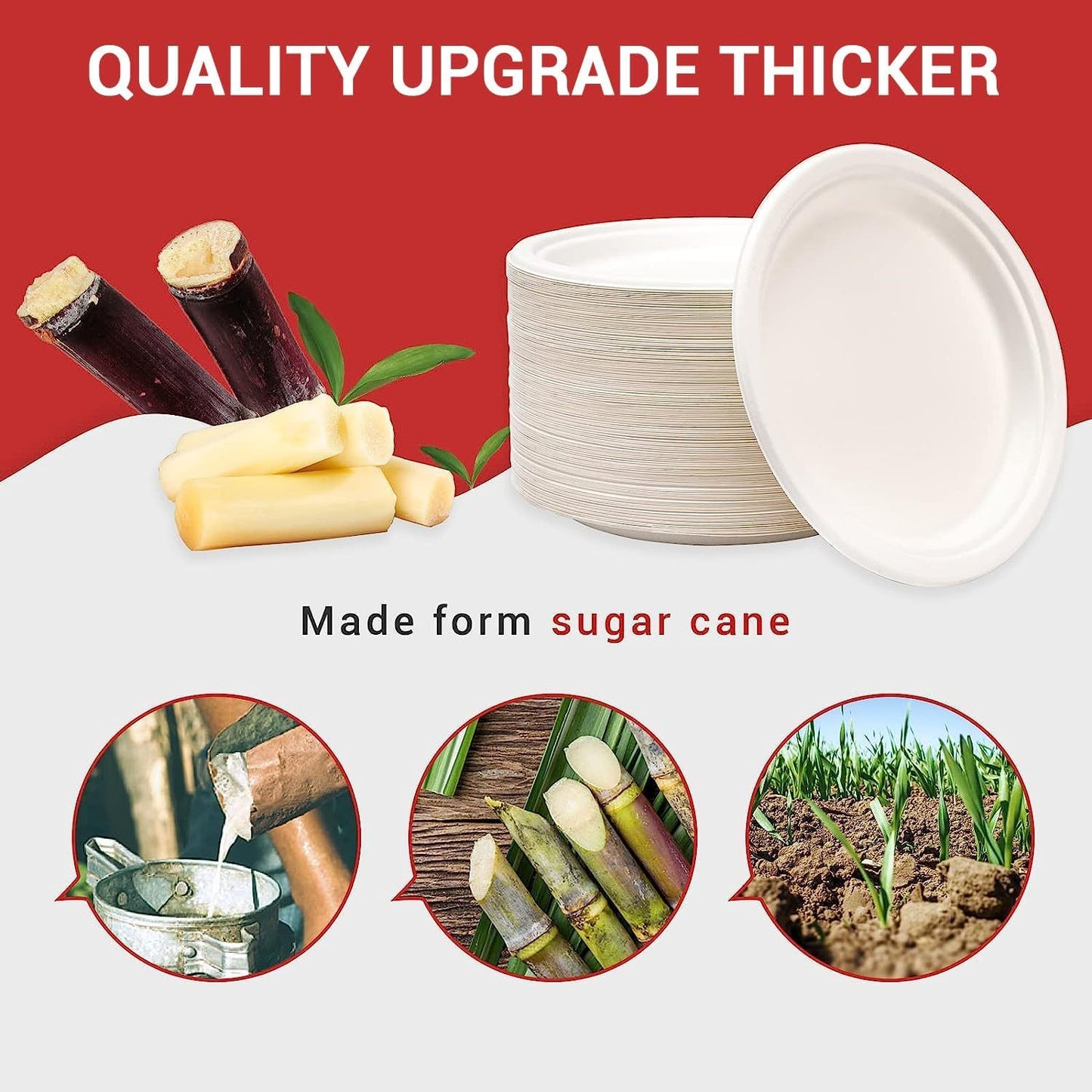MTC 100-Pack 9 Inch Disposable Plates – Heavy Duty Sugarcane Fiber Round Paper Plates, Microwave Safe, Soak-Proof & Cut-Resistant for Daily Meals, Party, BBQ & Picnic | Canada