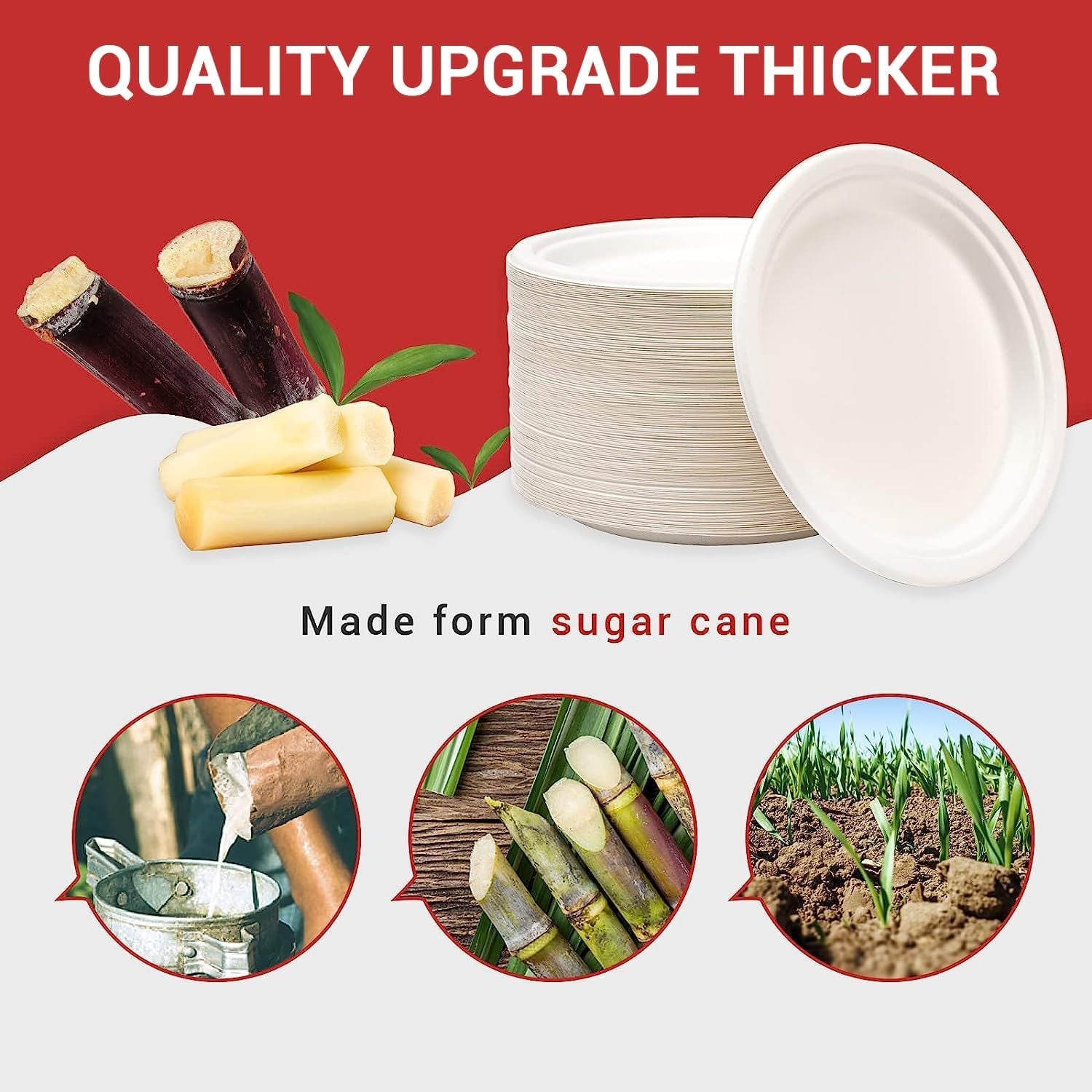MTC 100-Pack 9 Inch Disposable Plates Round Paper Plates 100%Heavy Duty Sugarcane Fibers Plates 9" Plate for Daily Meals, Party, BBQ