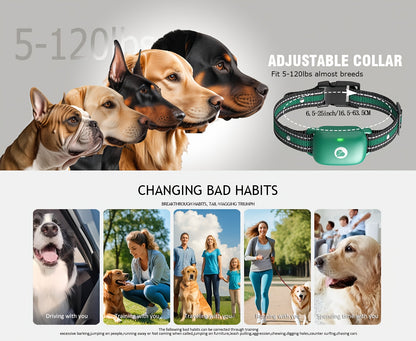Remote Dog Training Collar with Shock, Vibration & Bark Alarm – Waterproof E-Collar for Large & Medium Dogs, Multiple Training Modes for Obedience & Behaviour