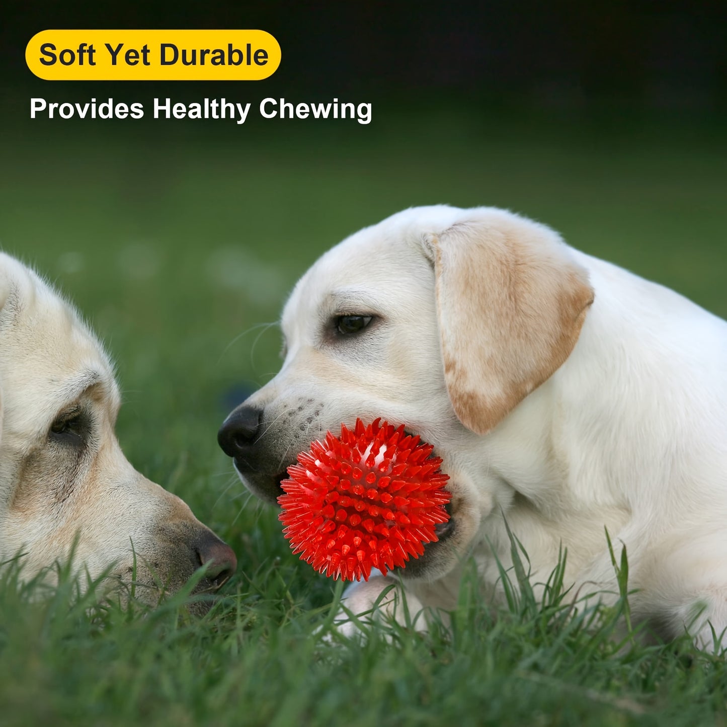 Squeaky Spikey Dog Toy Balls 4/6 Pack – BPA-Free Puppy Chew Toys for Teething, Durable Interactive Fetch Balls for Small, Medium & Large Dogs