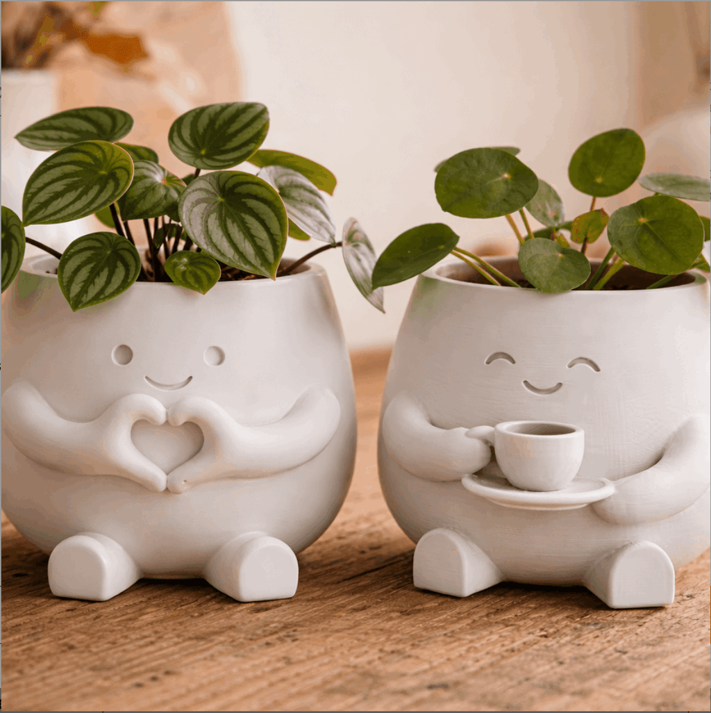 2 Flower Pot Suitable for Succulent & Pen Holders, Lightweight Plastic /Outdoor Desktop Pots with Irregular Shape, Small plant, Decorative Gift for Money Plant Housewarming, Birthdays (for, Office, Desk) - Modern Gardening Gift,home Decor