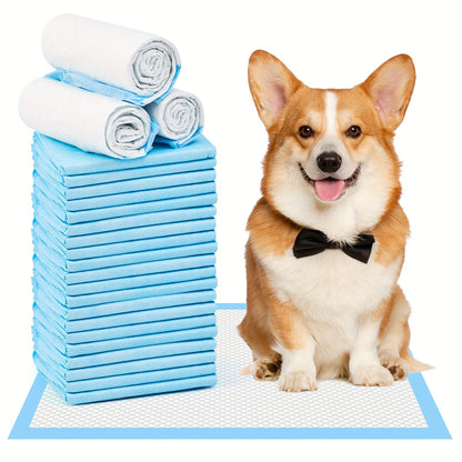 Puppy Pads 100-Pack Thick Leakproof Super Absorbent – 23.62"x23.62" Disposable Dog Training Mats for Dogs, Cats & Rabbits, Blue & White Design