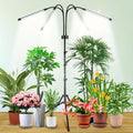 Full Spectrum LED Plant Grow Light with Adjustable Tripod Stand – 80 LED 4-Head Indoor Plant Growth Lamp, 15–60 Inch Height, Full Spectrum Lighting for Seedlings Herbs Flowers & Indoor Gardens