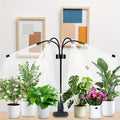 Indoor Plant Growth Light Full Spectrum 80 LED Plant Light Suitable for Indoor Plants 15-60 Inches Adjustable Tripod with 4 Heads