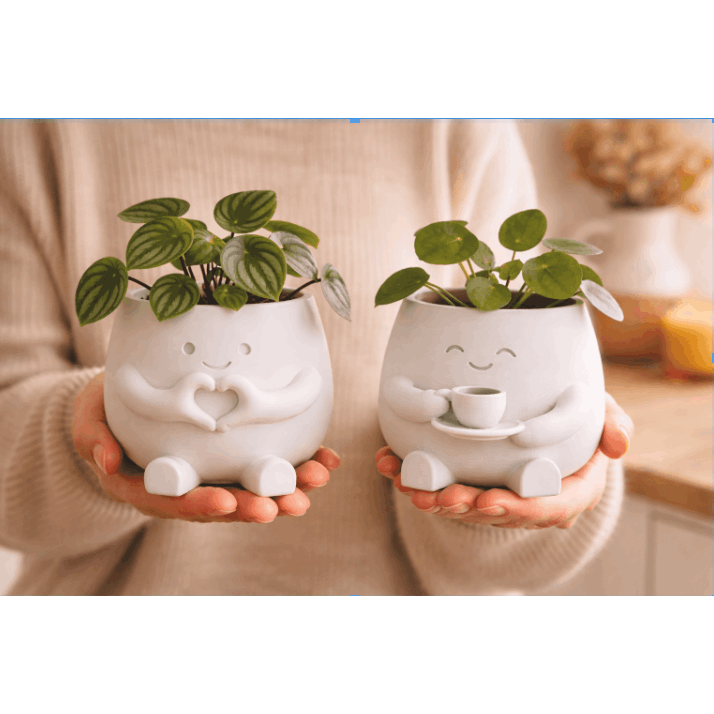 2 Flower Pot Suitable for Succulent & Pen Holders, Lightweight Plastic /Outdoor Desktop Pots with Irregular Shape, Small plant, Decorative Gift for Money Plant Housewarming, Birthdays (for, Office, Desk) - Modern Gardening Gift,home Decor