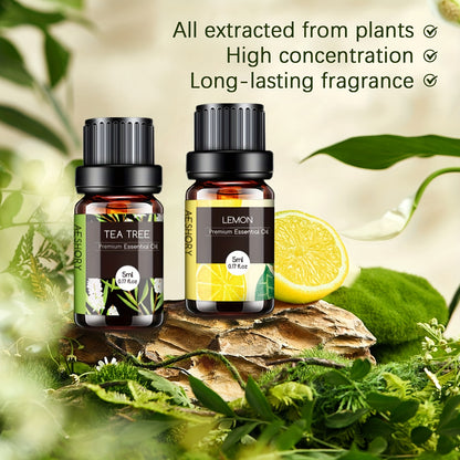 Pure Essential Oils Gift Set – 12 / 20 / 32 Pcs Aromatherapy Kit with Lavender, Tea Tree, Peppermint & More, 5ml Bottles for Massage, Skin Care & Diffuser, Holiday & Father's Day Gift | ShopVora CA