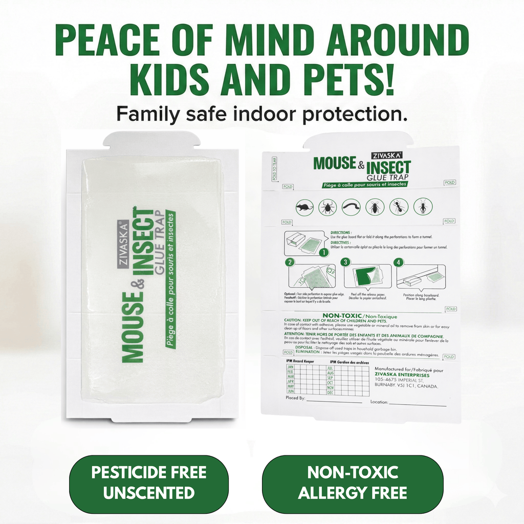15 / 50 / 100 Mice Traps | Sticky Traps| Mouse Traps | Mouse Sticky Traps | Insect Traps| Foldable Adhesive Capture Boards for Indoor Monitoring | Unscented | No Chemicals | Flat or Tunnel Use