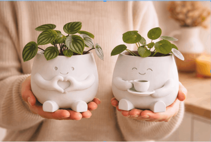 2 Flower Pot Suitable for Succulent & Pen Holders, Lightweight Plastic /Outdoor Desktop Pots with Irregular Shape, Small plant, Decorative Gift for Money Plant Housewarming, Birthdays (for, Office, Desk) - Modern Gardening Gift,home Decor