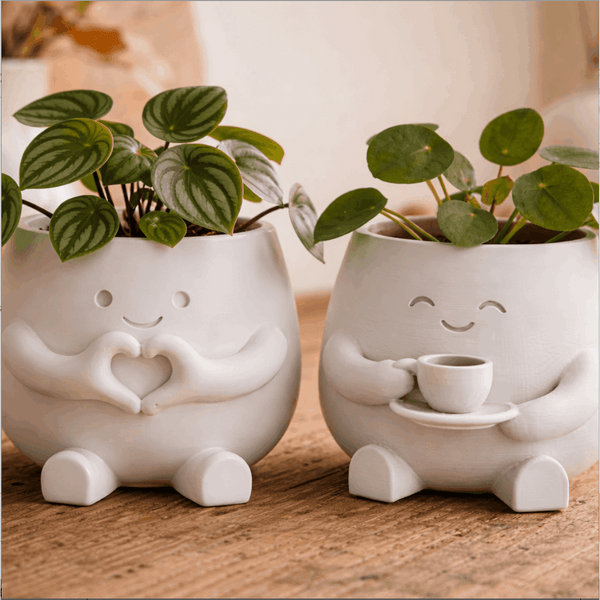 Cute Smiley Face Planter Set of 2 – Succulent Flower Pot & Pen Holder, Lightweight Desktop Decor for Home Office Bedroom, Unique Housewarming Birthday Gift for Women | ShopVora CA