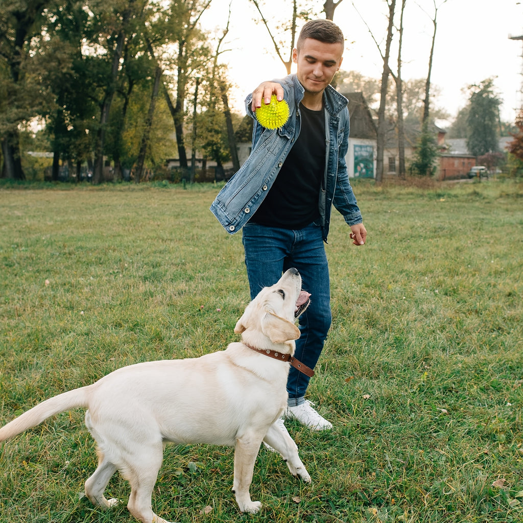 Squeaky Dog Toy Balls (4/6 Pack) Puppy Chew Toys for Teething, BPA Free Non-Toxic, Spikey Dog Balls for Medium, Large & Small Dogs, Durable Toys for Aggressive Chewers