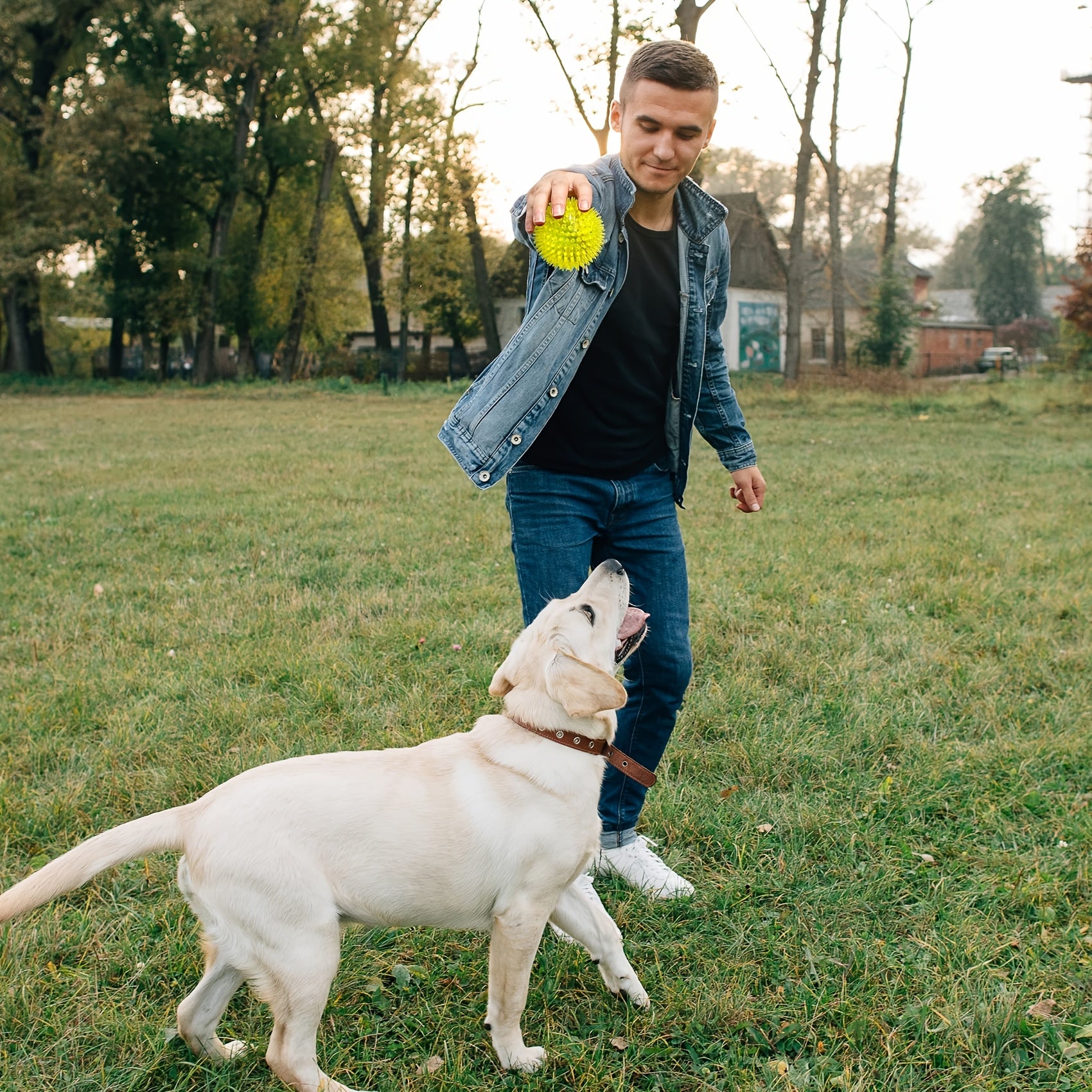 Squeaky Dog Toy Balls (4/6 Pack) Puppy Chew Toys for Teething, BPA Free Non-Toxic, Spikey Dog Balls for Medium, Large & Small Dogs, Durable Toys for Aggressive Chewers