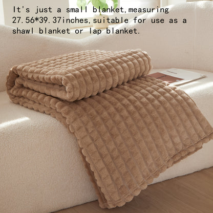 Soft Warm Throw Blanket All-Season Plush Sofa Blanket for Naps Office Camping Pet-Friendly Bedspread Multiple Sizes and Colors
