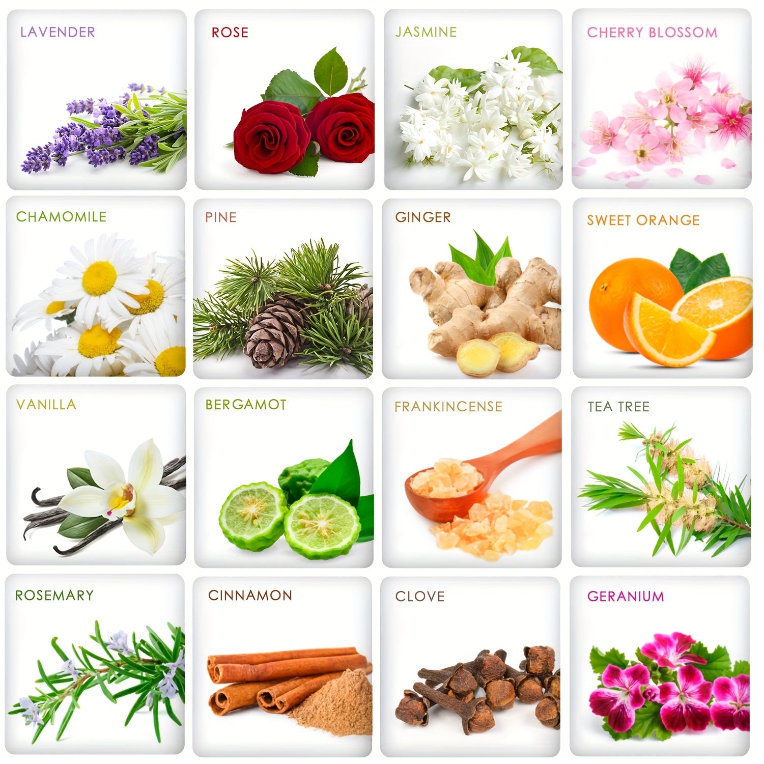 Essential Oils Set, 12pcs/26/32/48pcs Premium Essential Oil Kit for Massage - Best Father's Day Gift, Mother's Day Gift, Valentsday Day Gift, Holiday Gift for Girl, Women, Friends, Lover - Local Warehouse