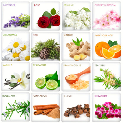Essential Oils Set Premium, 12/26/32/48pcs Pure Aromatherapy Essential Oil Kit for Diffuser Massage Skin Care, Gift for Women Men Friends Family – Holiday Birthday Mother's Day Father's Day Gift
